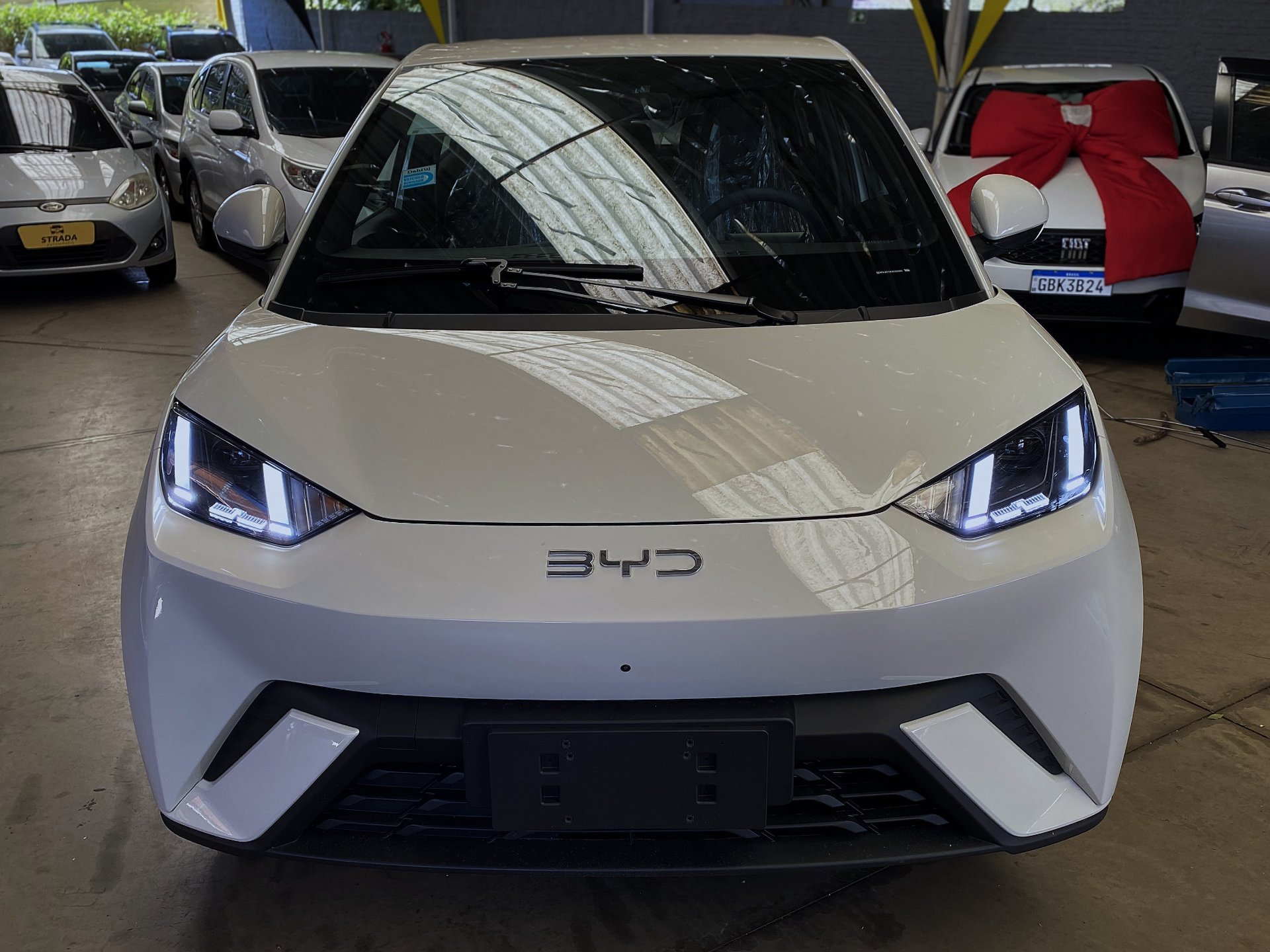 BYD DOLPHIN MINI