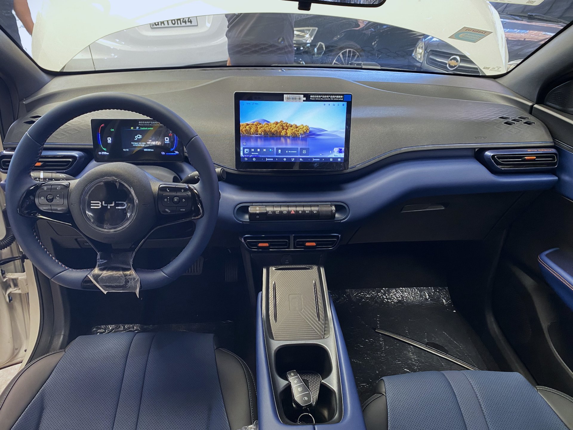 BYD DOLPHIN MINI
