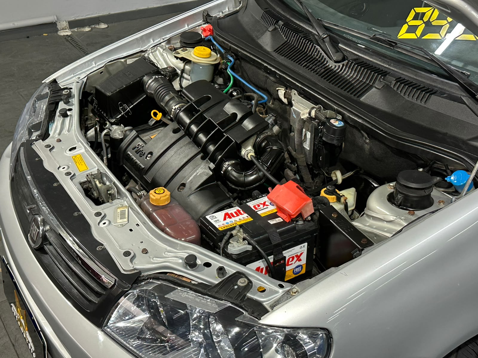 FIAT PALIO