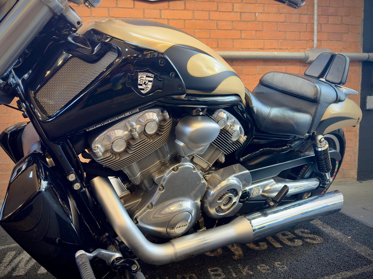 V ROD MUSCLE V ROD MUSCLE