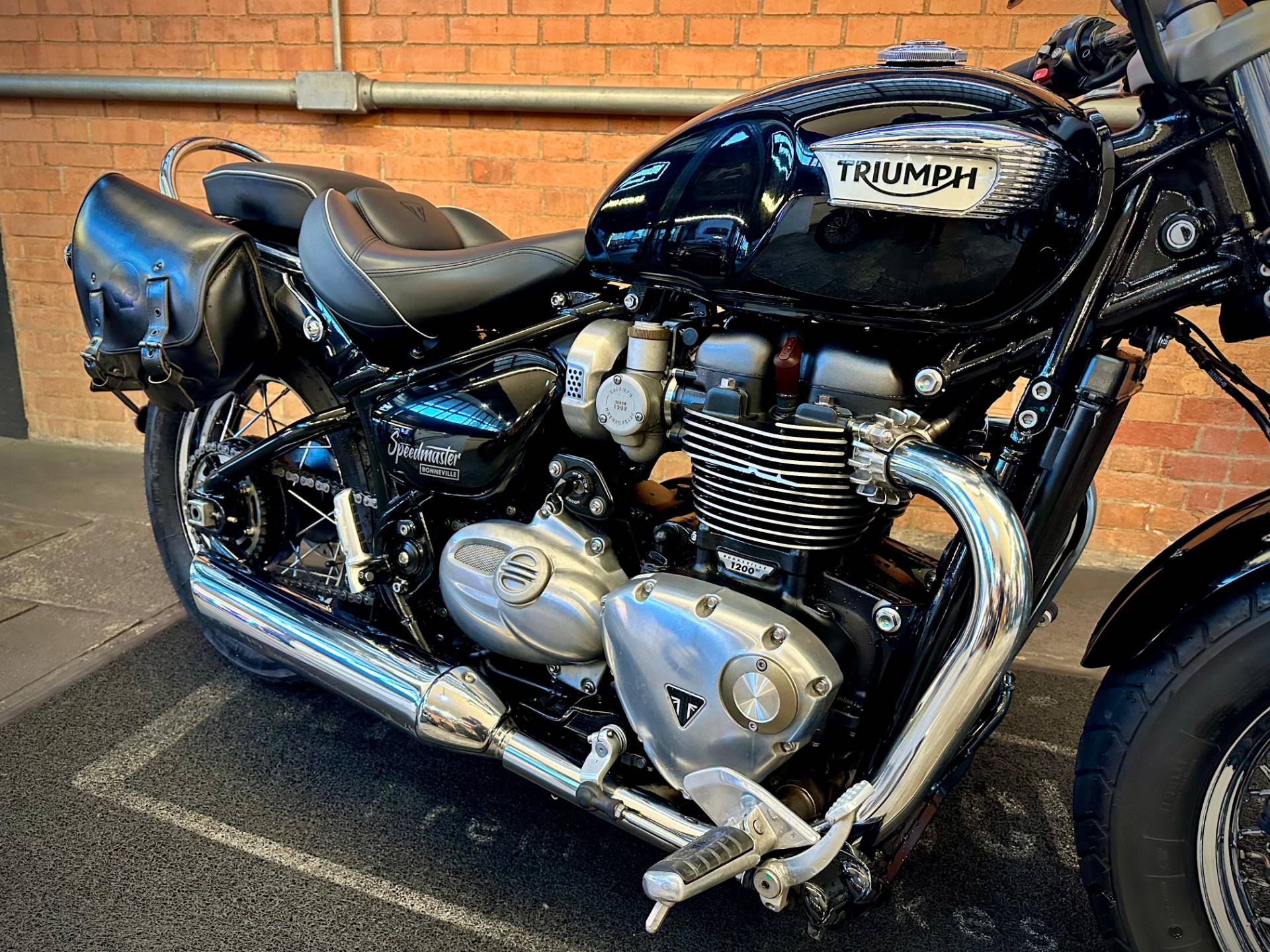 TRIUMPH BONNEVILLE T120 1200