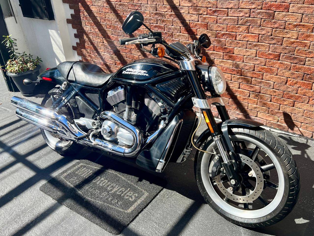 HARLEY-DAVIDSON STREET ROD