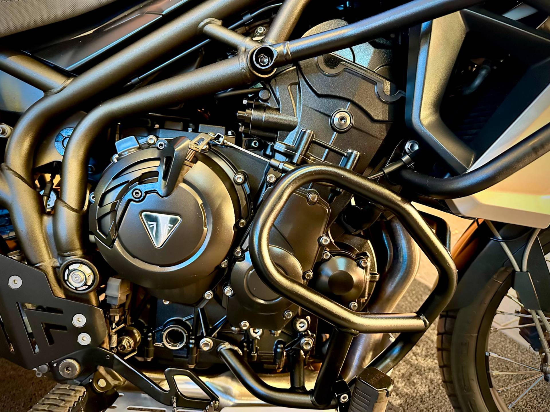 TRIUMPH TIGER 800 XCX