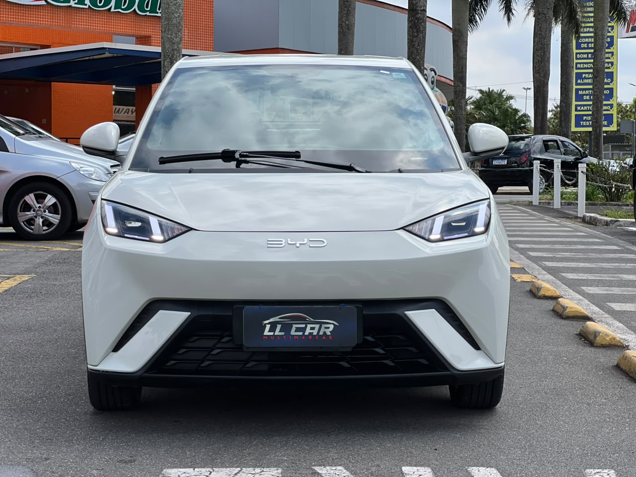 BYD DOLPHIN MINI