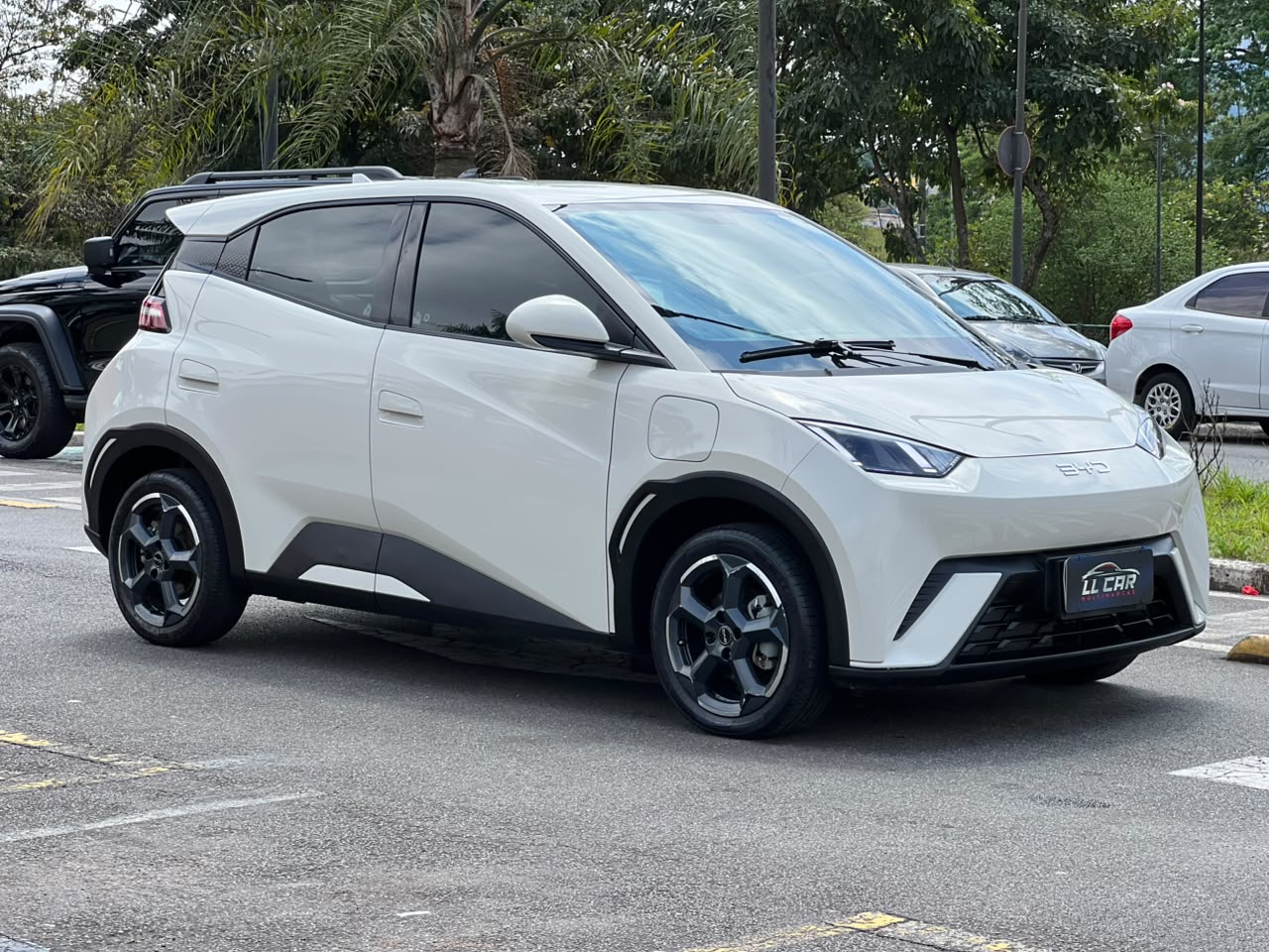 BYD DOLPHIN MINI