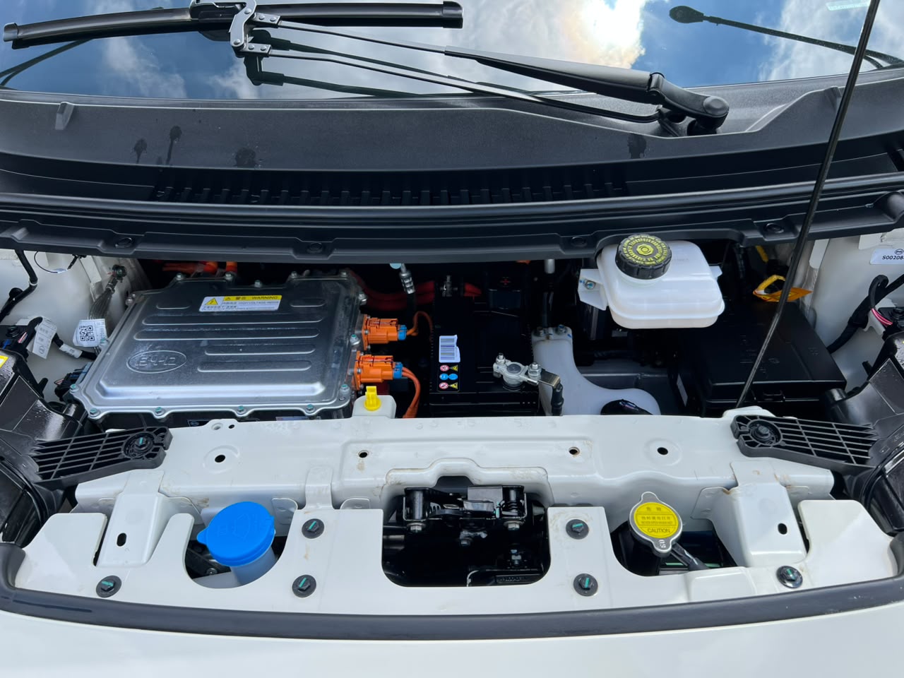BYD DOLPHIN MINI
