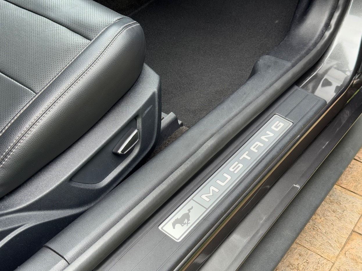 Car Image 16