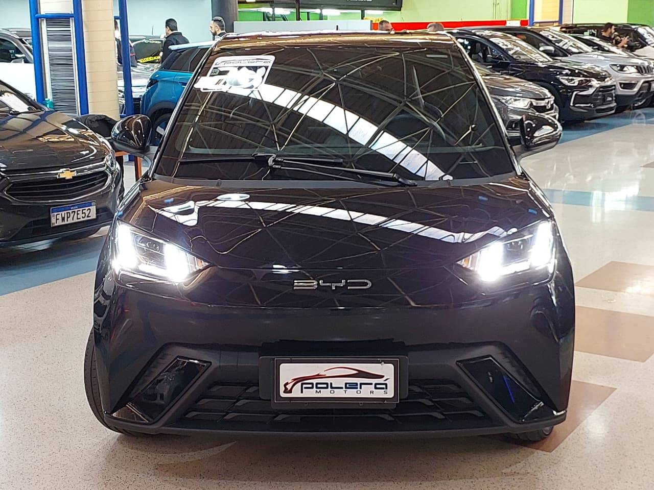 BYD DOLPHIN MINI