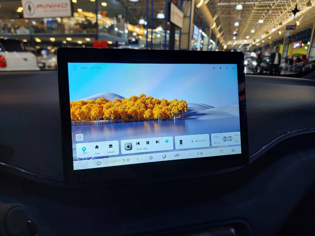 BYD DOLPHIN MINI