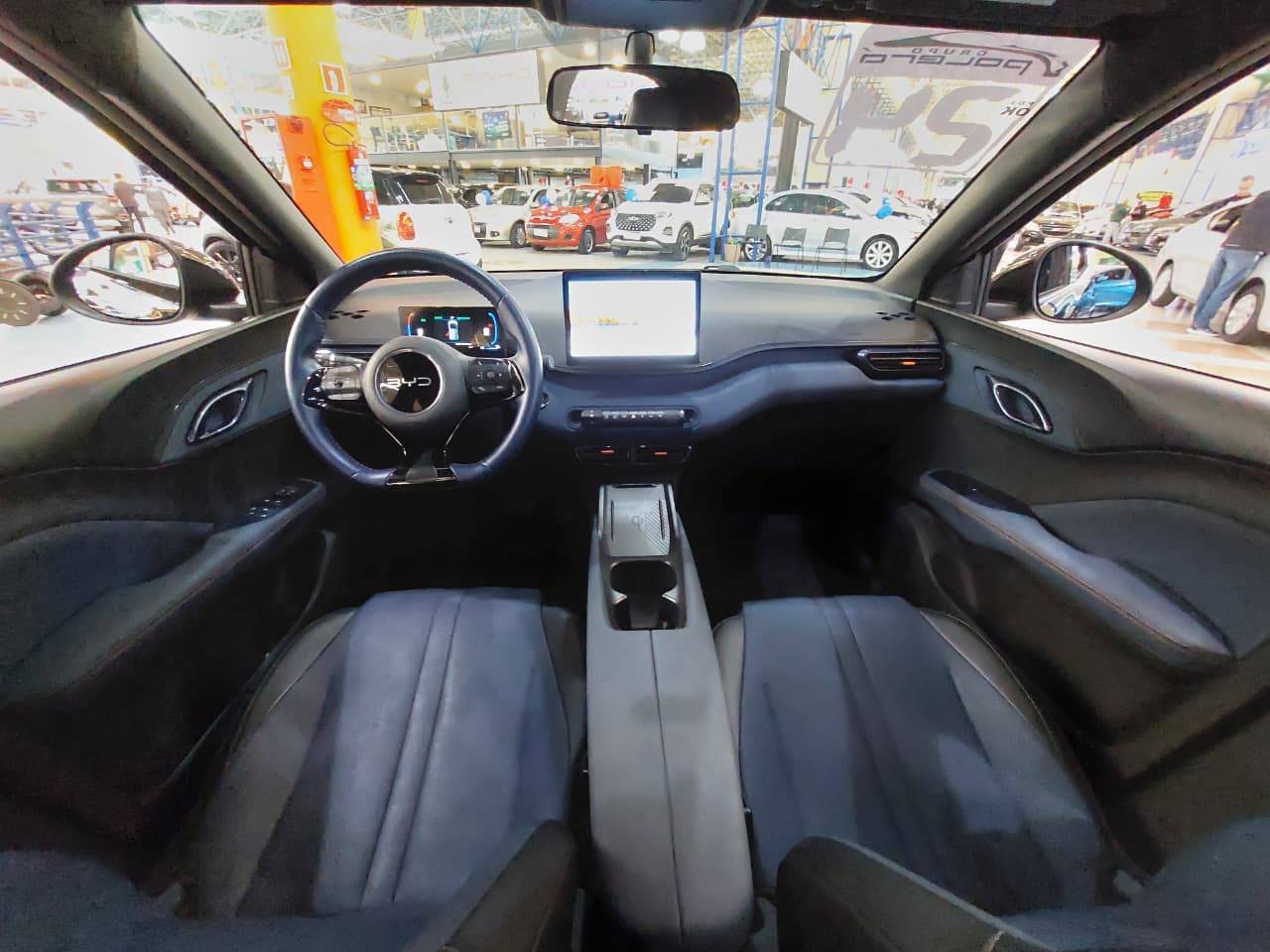 BYD DOLPHIN MINI