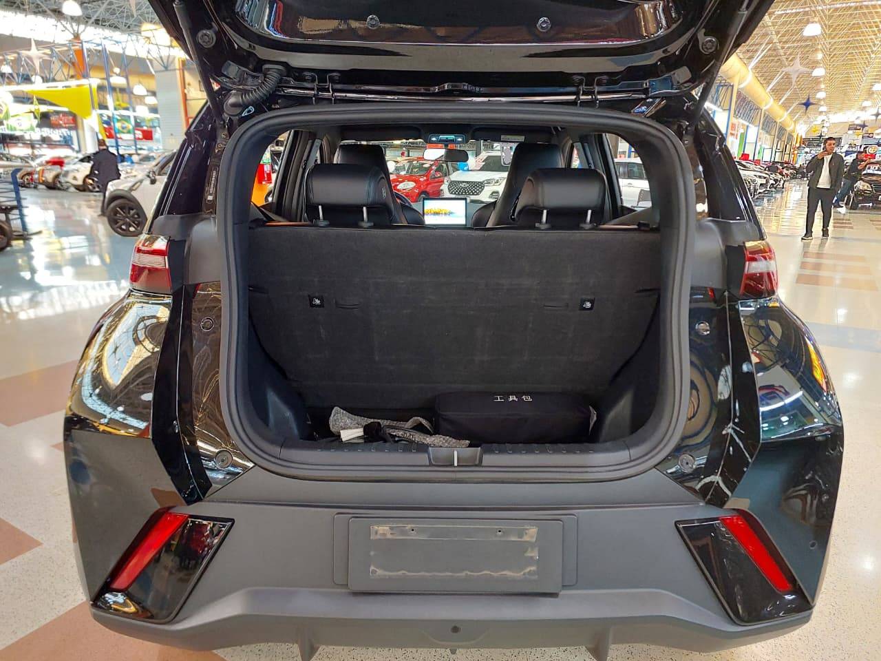 BYD DOLPHIN MINI
