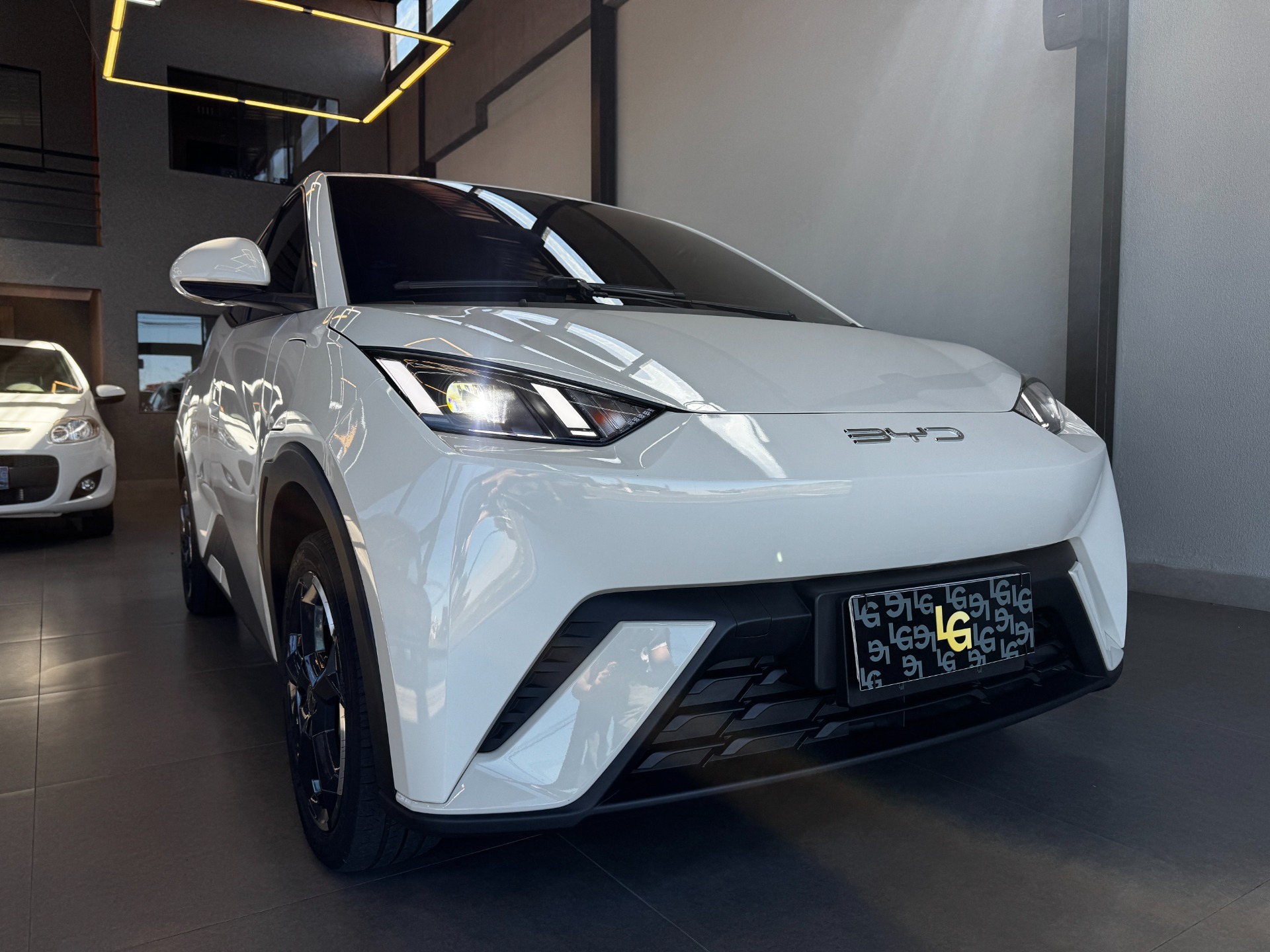 BYD DOLPHIN MINI