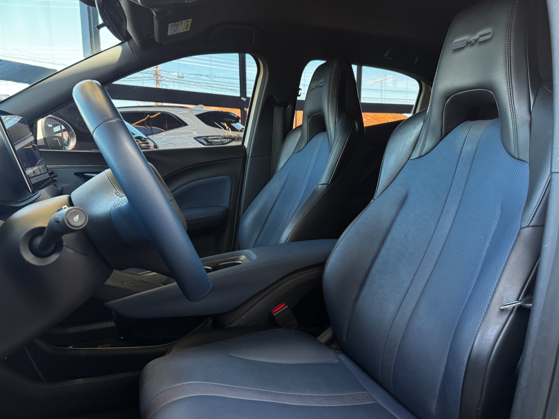 BYD DOLPHIN MINI