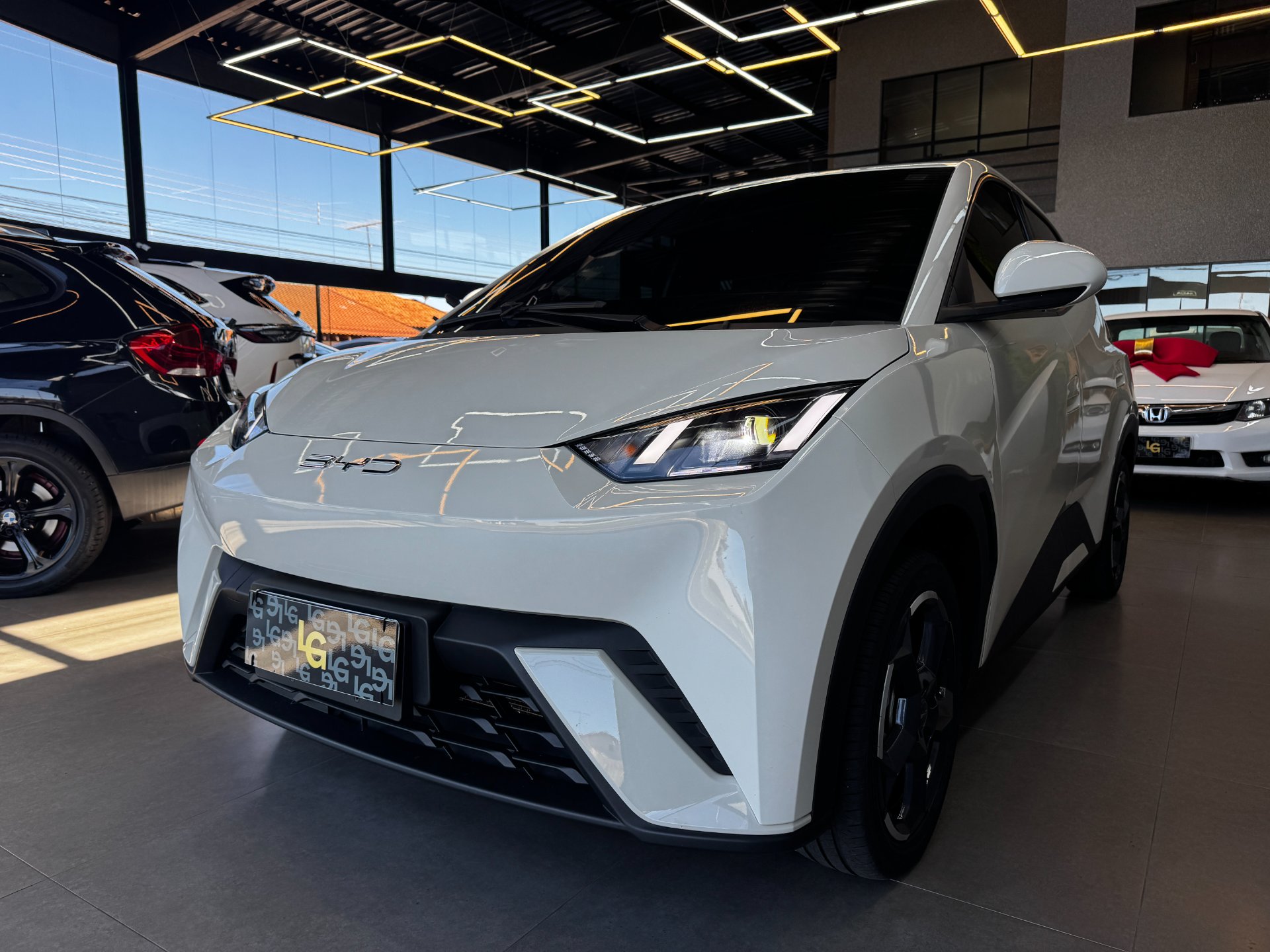 BYD DOLPHIN MINI