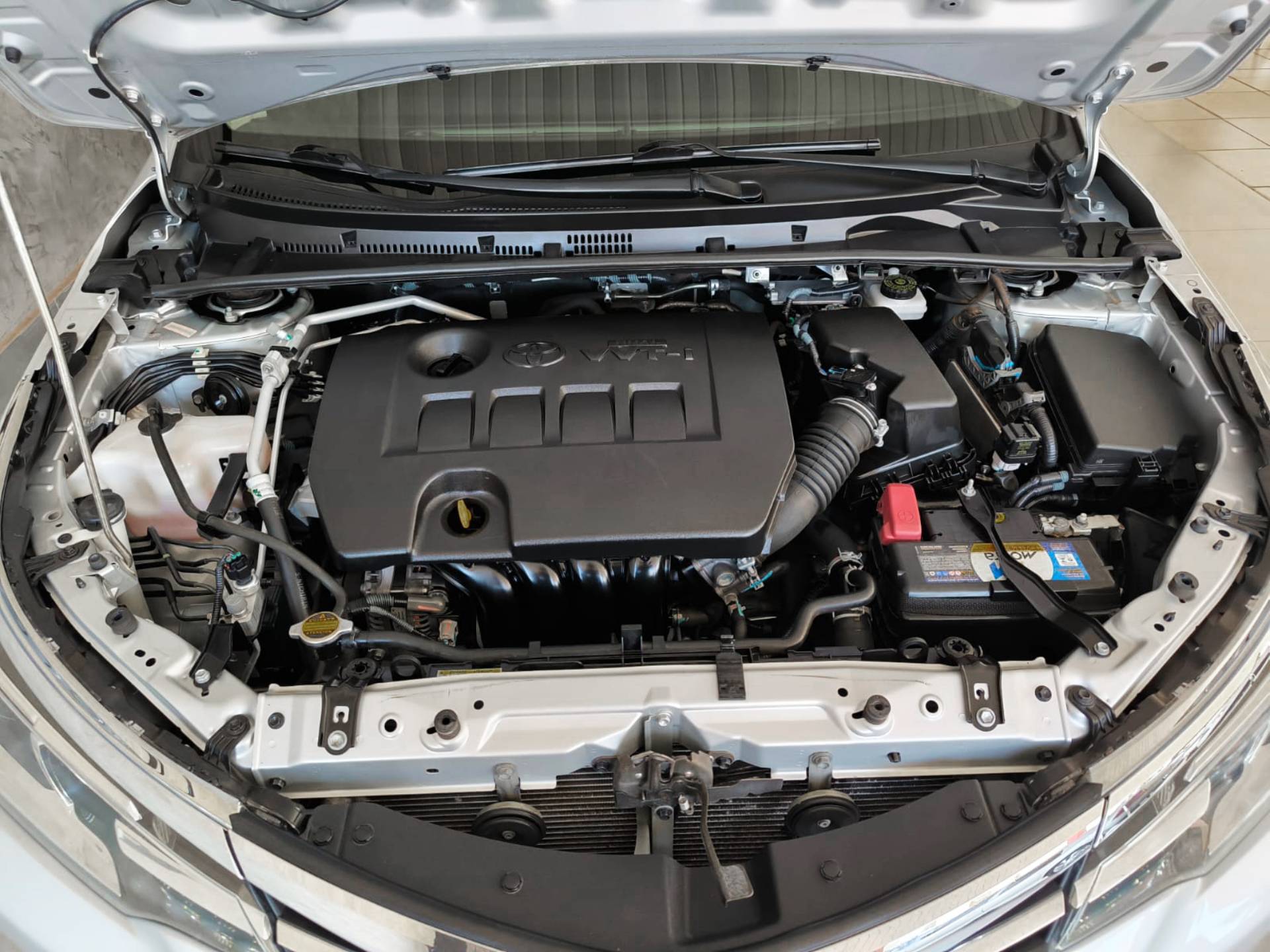 TOYOTA COROLLA