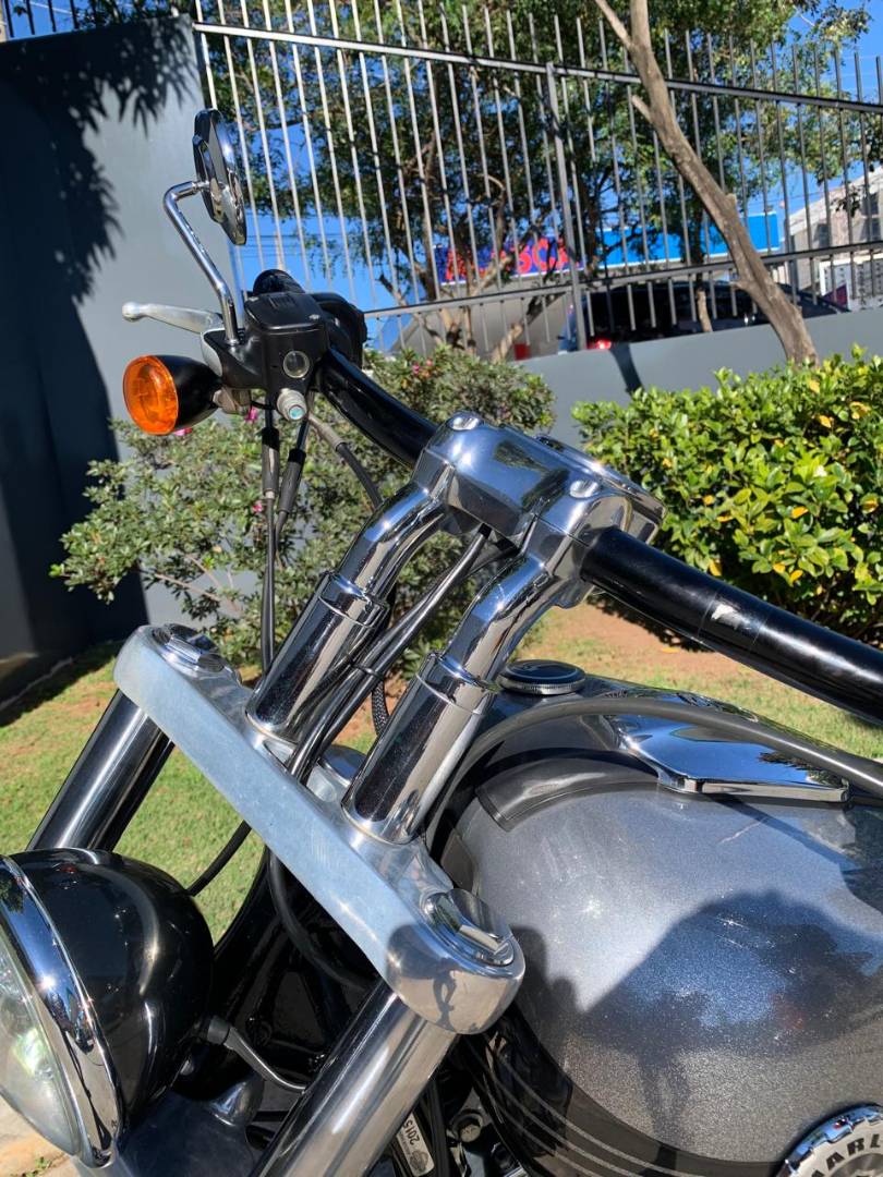 HARLEY-DAVIDSON SOFTAIL BREAKOUT