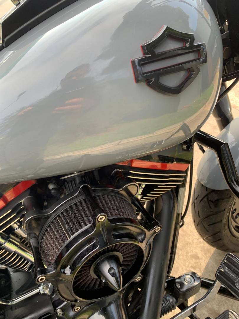 HARLEY-DAVIDSON FAT BOY LOW SPECIAL