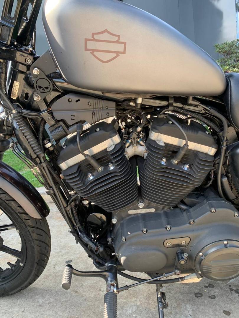 HARLEY-DAVIDSON SPORTSTER XL 883 N IRON