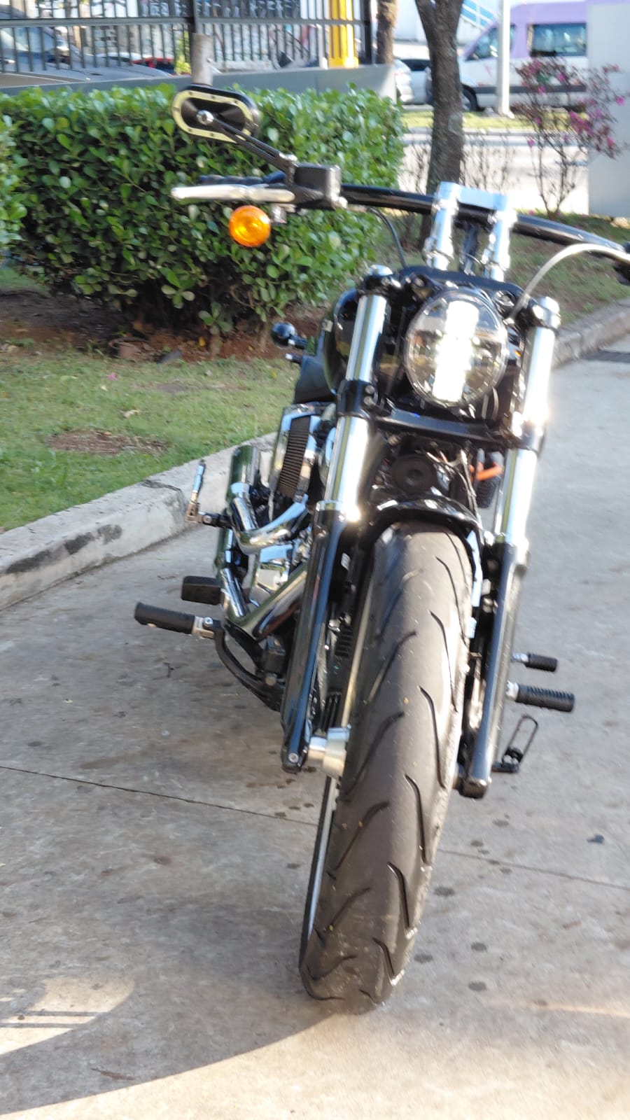 HARLEY-DAVIDSON SOFTAIL BREAKOUT