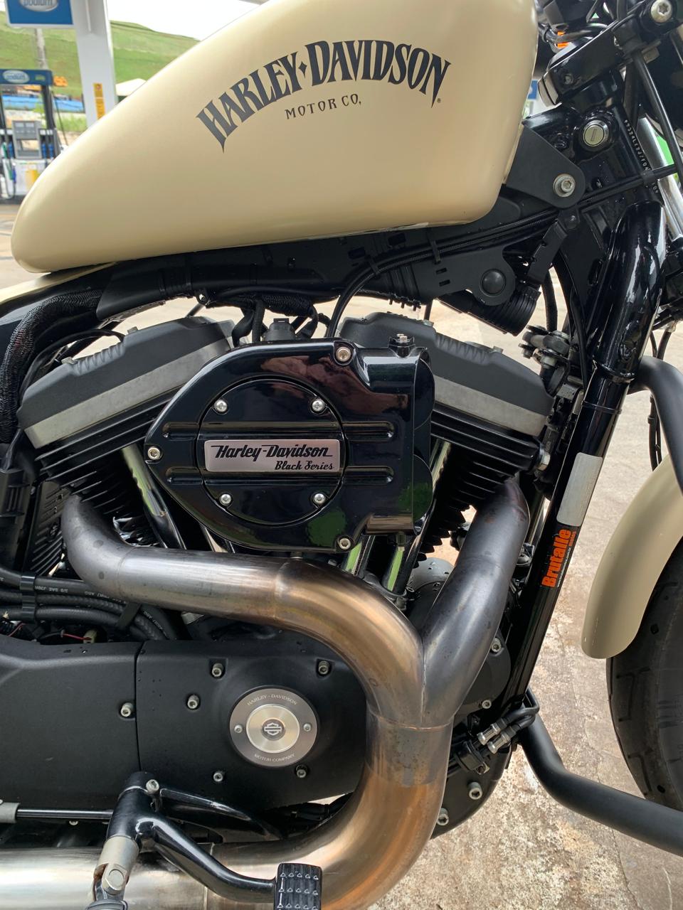 HARLEY-DAVIDSON SPORTSTER XL 883 N IRON
