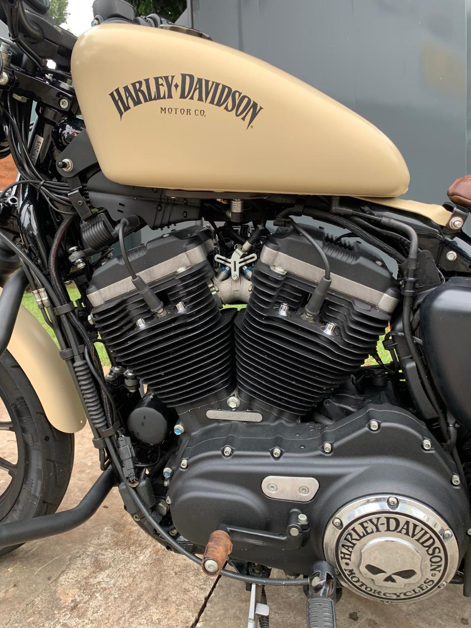 HARLEY-DAVIDSON SPORTSTER XL 883 N IRON