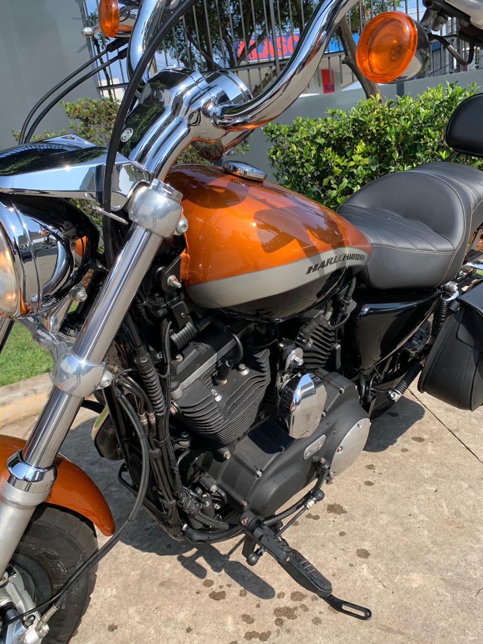 HARLEY-DAVIDSON SPORTSTER 1200 CUSTOM CA LIMITED