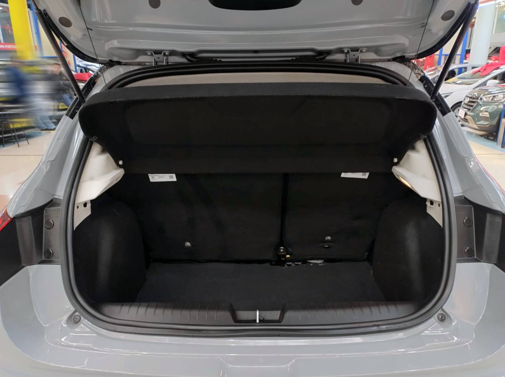 FIAT PULSE