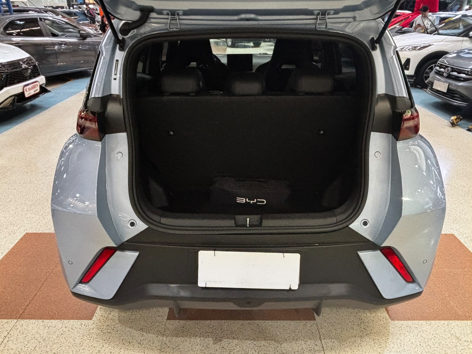 BYD DOLPHIN MINI