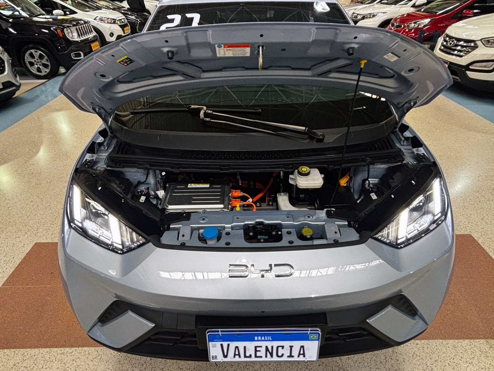 BYD DOLPHIN MINI