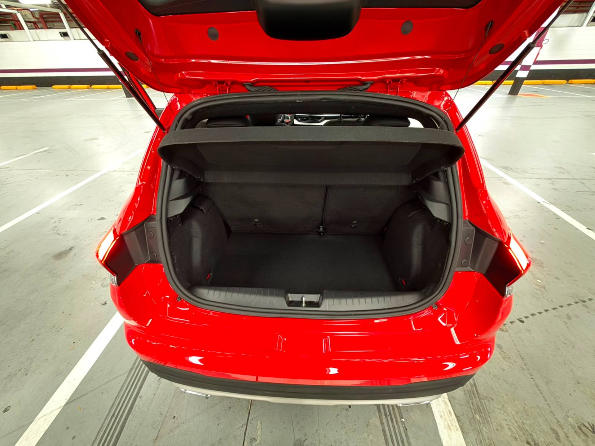 FIAT PULSE